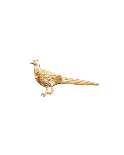 Fable England Pheasant Enamel Brooch In Brown