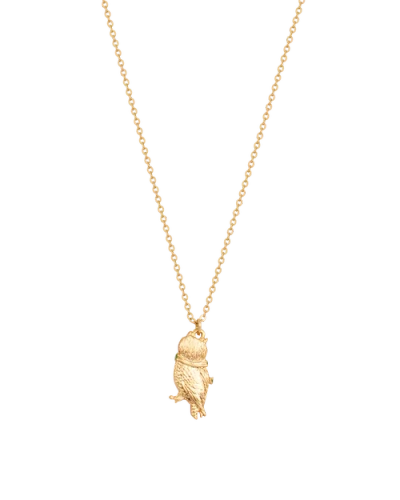 Fable England Cosy Owl Gold Chain Necklace In Gold