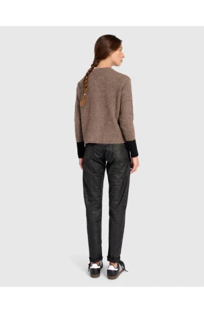 Alembika Blackbird Cardigan In Brown