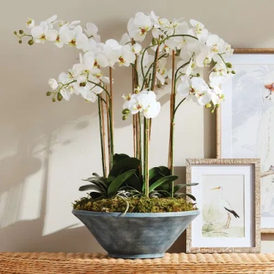 Napa Home & Garden Phalaenopsis Orchid Bowl Drop-in 35" In White