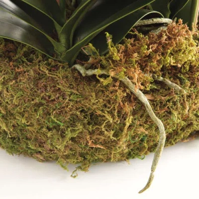 Napa Home & Garden Phalaenopsis Orchid Bowl Drop-in 35" In White