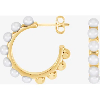 Dower & Hall Large White Timeless Pearl Hoops In Gold