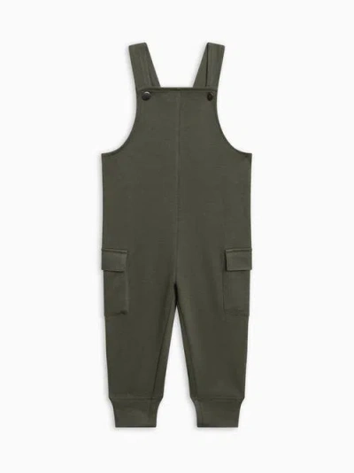 Colored Organics Organic Layall Cargo Overalls In Green