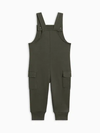 Colored Organics Organic Layall Cargo Overalls In Green