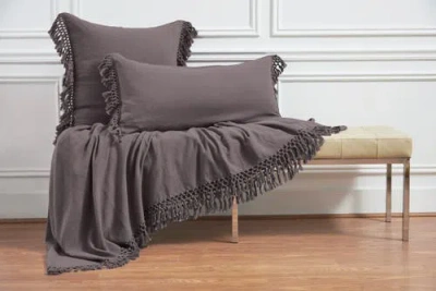 Elisabeth York 26" X 26" Lavato Fig Cotton Euro Sham In Purple