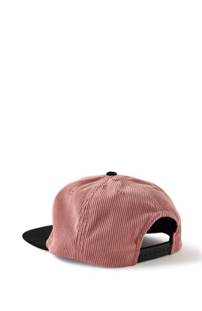 Cotton On 6 Panel Ball Cap In Multi
