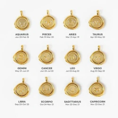 Bearfruit Jewelry 14k Gold Plated Seal Constellation Necklace 12 Zodiac Signs Holiday Gift Guide In Gold