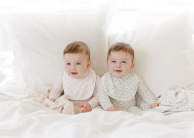 Ely's & Co. Aurora Classics Diamond Print Collection In Neutral