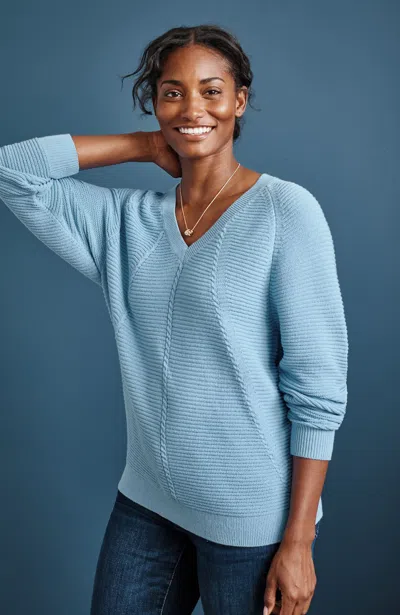 Jjill J.jill V-neck Dolman-sleeve Sweater In Blue