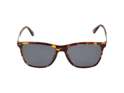 Police Sunglasses In Brown