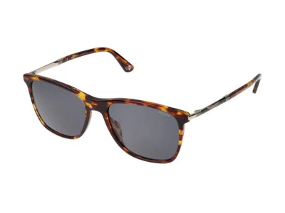 Police Sunglasses In Brown