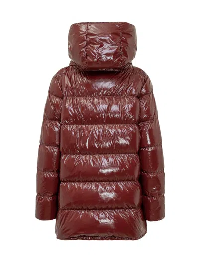 Herno Glossy Padded Down Jacket With Hood In Brown