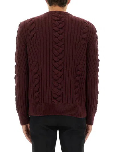 Alexander Mcqueen Alexander Mc Queen Wool Sweater In Burgundy