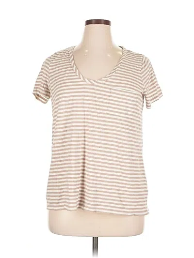 Pre-owned Caslon Short Sleeve T-shirt In Brown