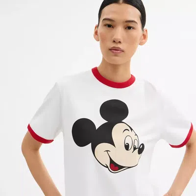 Coach Disney X  Mickey Graphic Ringer T-shirt In Organic Cotton In White