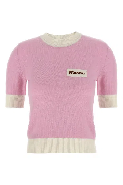 Marni Wool Blend Short Sleeve Crewneck Sweater In Pink