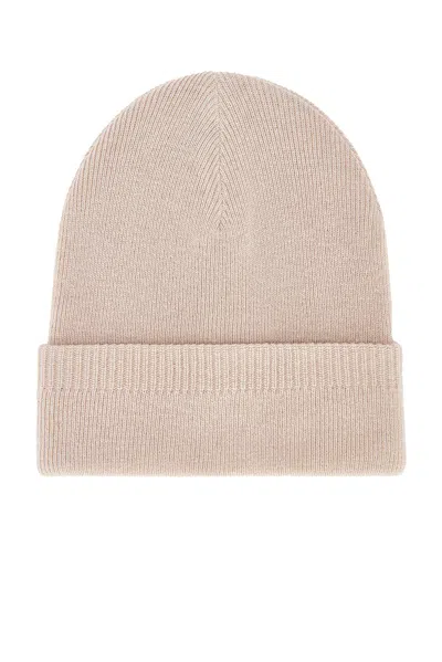 Rag & Bone Max Beanie In Neutral