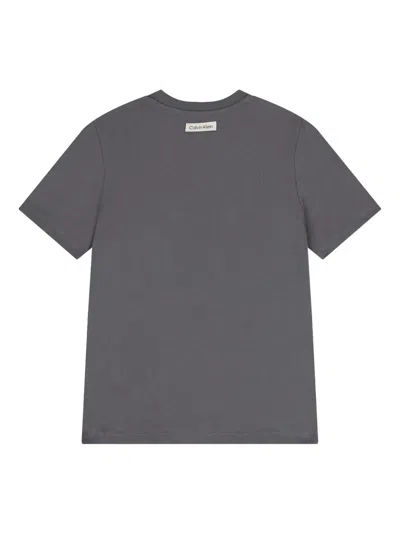 Calvin Klein Short-sleeve T-shirt In Gray