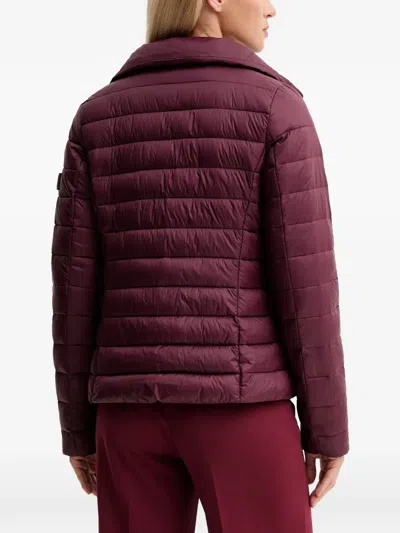 Marc O'polo Padded Jacket In Burgundy