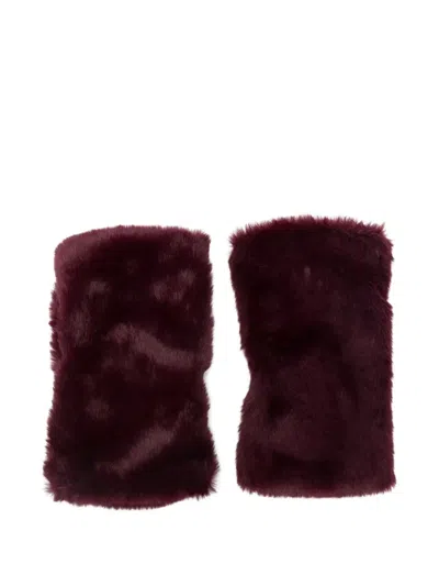 Alpo Fingerless Gloves In Red