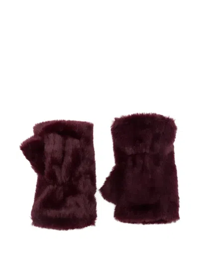 Alpo Fingerless Gloves In Red