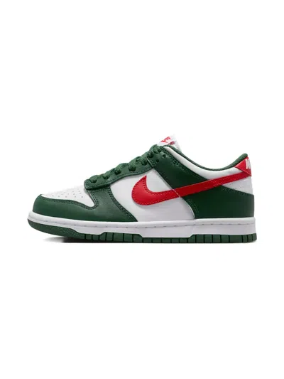 Nike Dunk Low Big Kids' (boys') Shoes In Multi