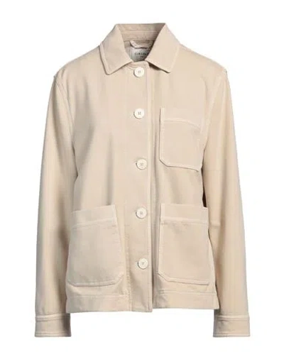 Circolo 1901 Woman Jacket Beige Size 6 Cotton, Lycra In Neutral