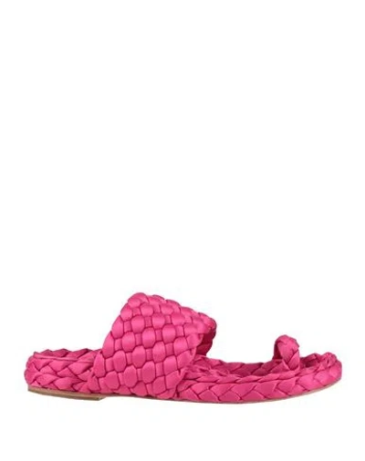 Paloma Barceló Woman Thong Sandal Pink Size 7 Textile Fibers In Animal Print