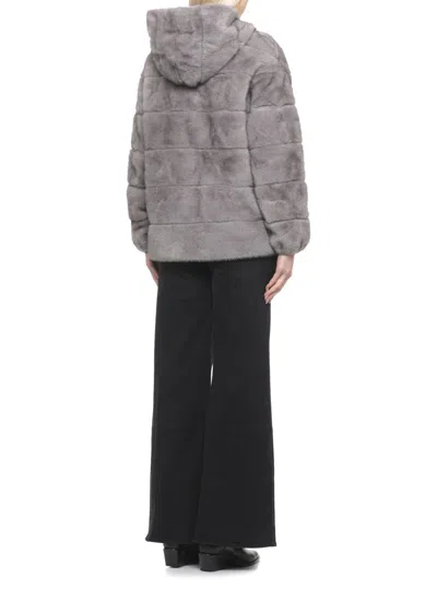 Betta Corradi Coats In Gray