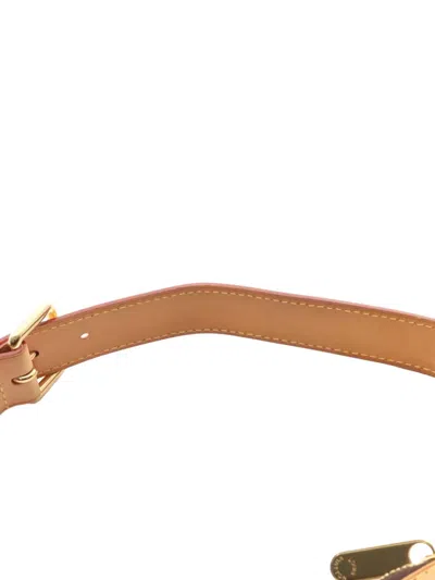 Pre-owned Louis Vuitton 2011 Monogram Thames Pm Shoulder Bag In Brown