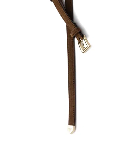 Prada Suede Belt In Brown