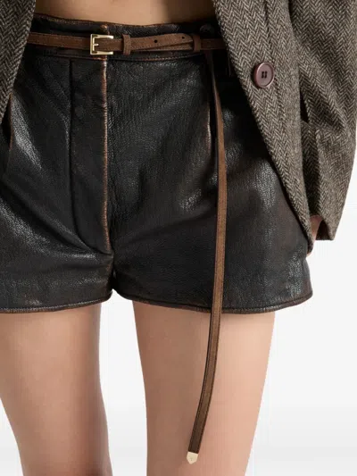 Prada Suede Belt In Brown