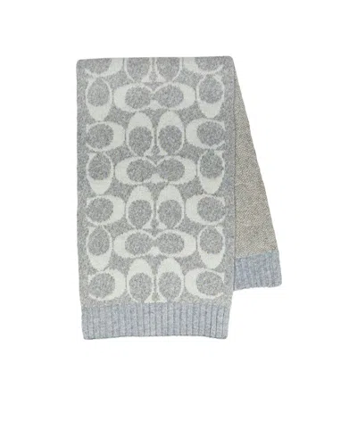 Coach Ribbed Scarf In Gray