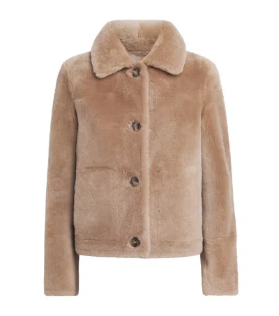 Yves Salomon Short Lamb Shearling Jacket In Brown