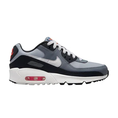 Pre-owned Nike Air Max 90 Gs 'wolf Grey/cool Grey/anthracite/white' | Kid's Size 6.5 In Gray