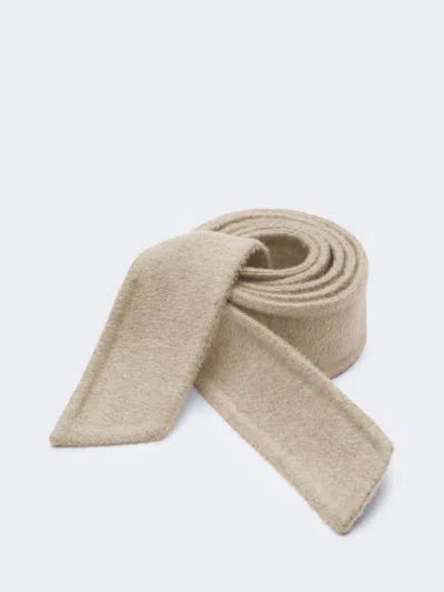 Max Mara Ludmilla Belt In Gray