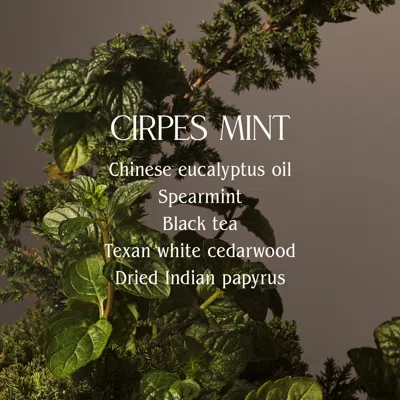 Homecourt Cipres Mint Hand Cream In Transparent