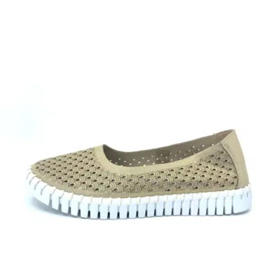 Ilse Jacobsen Women's Tulipu Ballet Slipper In Platin In Brown