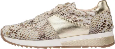 Cofi Women's Holly Fashion Sneakers In Rattlesnake In Multi
