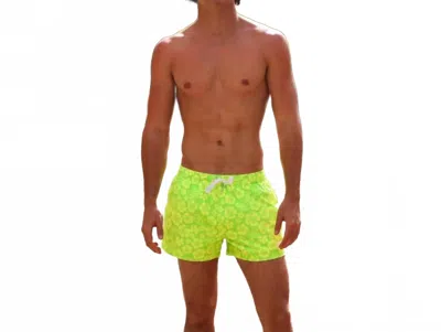 Kulani Kinis Men's Stretch Swim Trunks In Aloha Lime In Brown