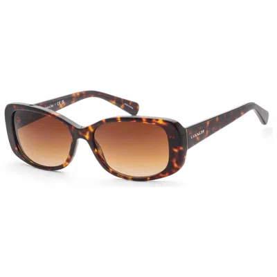 Coach Fashion Women's Sunglasses In Brown