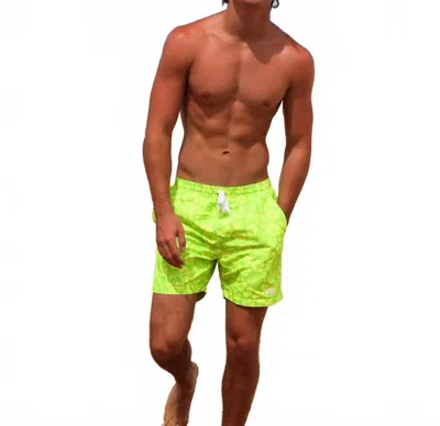 Kulani Kinis Men's Swim Trunks In Aloha Lime In Yellow