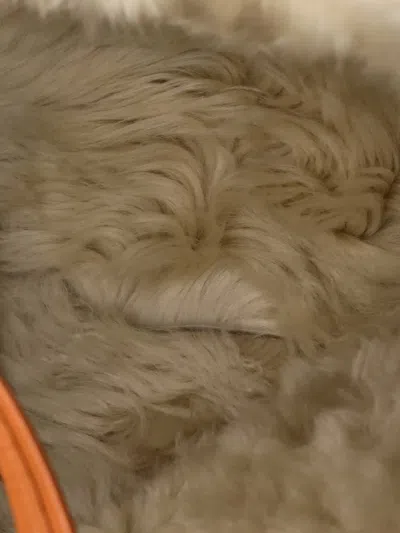 Pre-owned Celine Phantom Cabas Leather With Shearling Medium Tote Bag In Brown