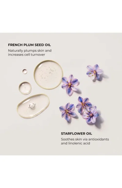 Laura Mercier The Daydreamer's Indulgence Neroli Du Sud Collection In Transparent