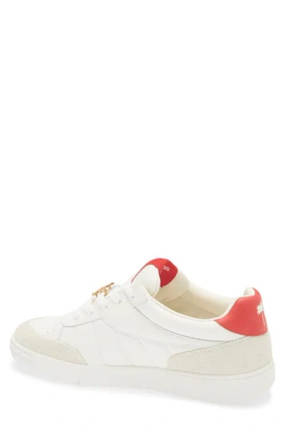 Palm Angels Palm Beach University Low Top Sneaker In Multi