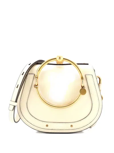 Pre-owned Chloé Nile Leather Small Crossbody Bag In Neutral