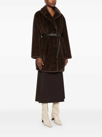 P.a.r.o.s.h Coats Brown In Brown