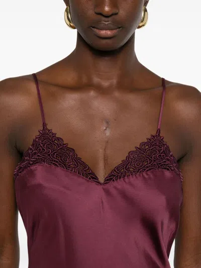 Twinset Dresses Winetasting In Burgundy