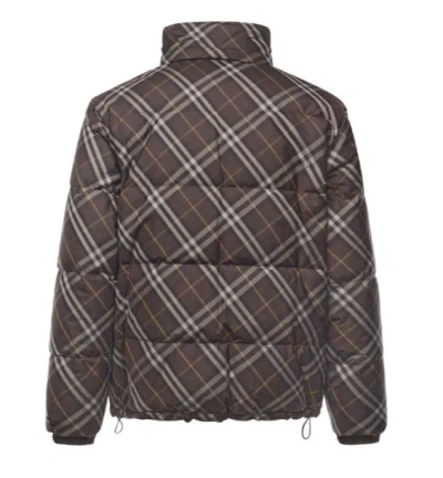 Burberry Jackets Truffle In Brown