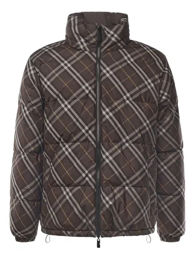 Burberry Jackets Truffle In Brown